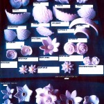 Σχέδια λουλουδιώv-Μνημοσύνου